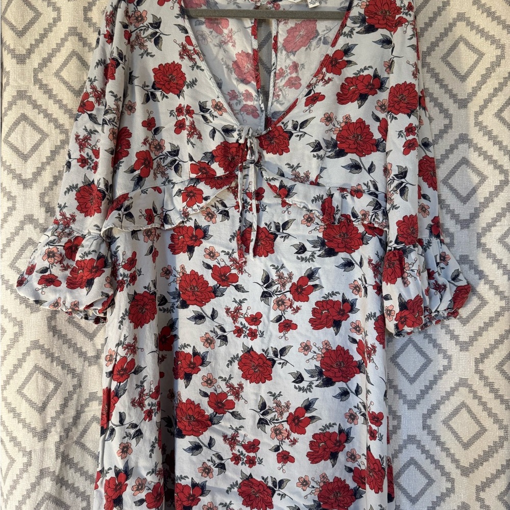American Eagle Outfitters Red Floral Dress